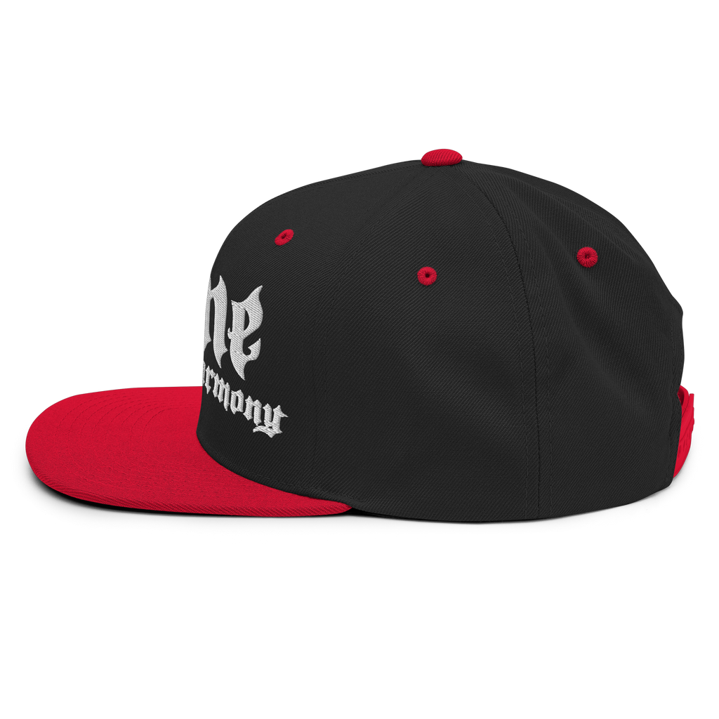 BTNH Snapback - Black / Red