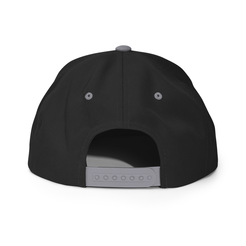 BTNH Snapback - Black / Silver