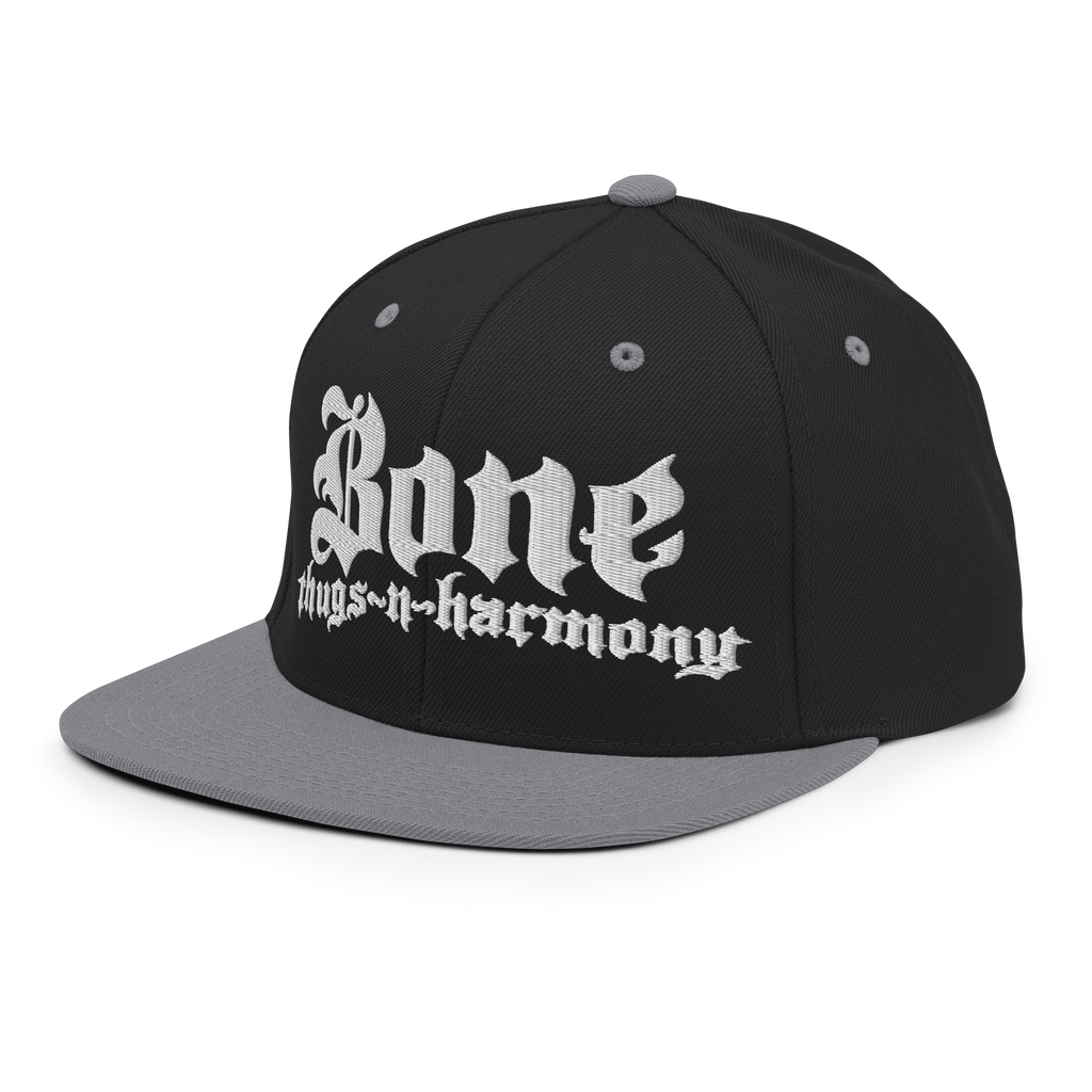 BTNH Snapback - Black / Silver