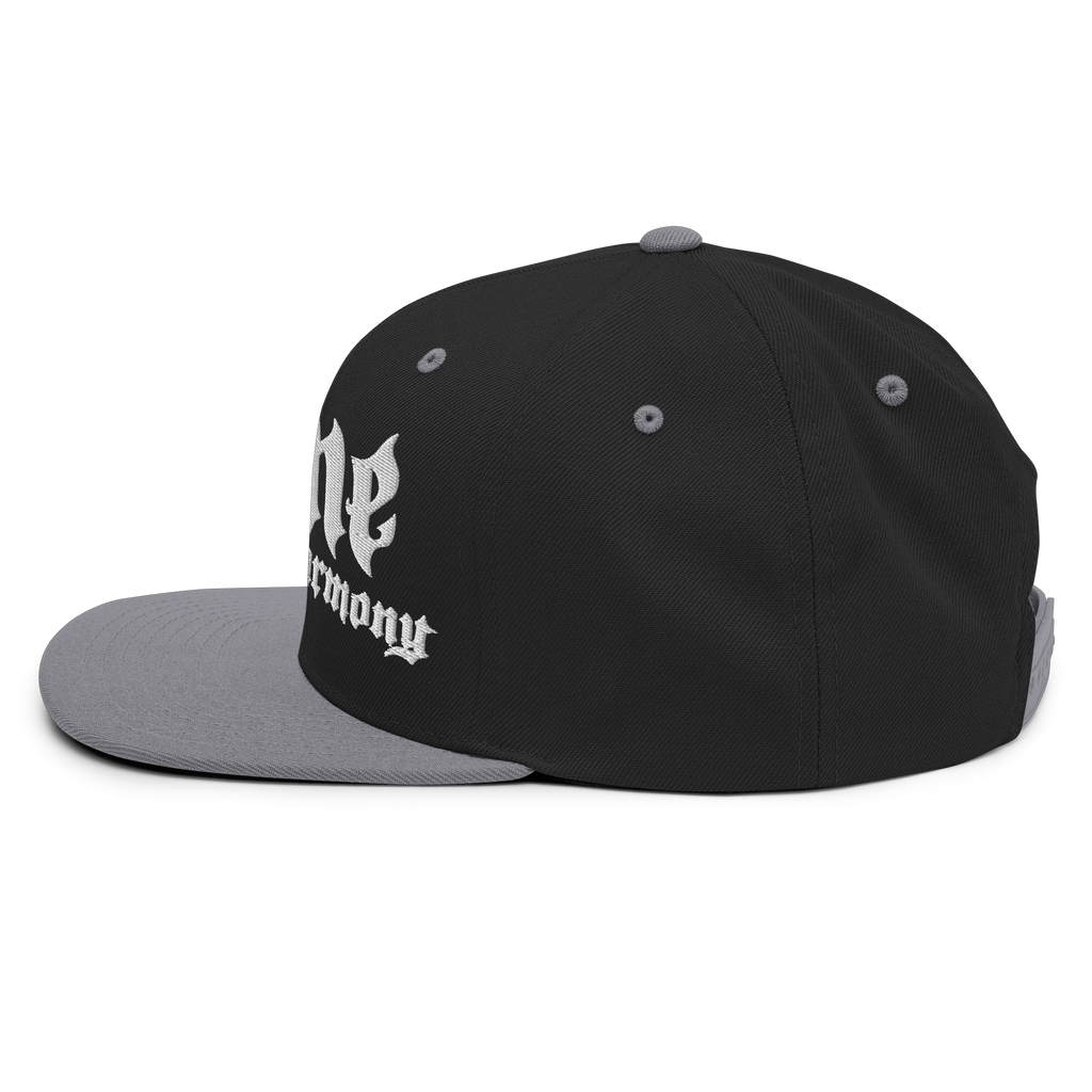 BTNH Snapback - Black / Silver