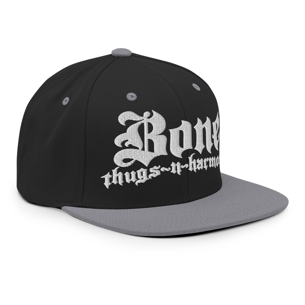 BTNH Snapback - Black / Silver