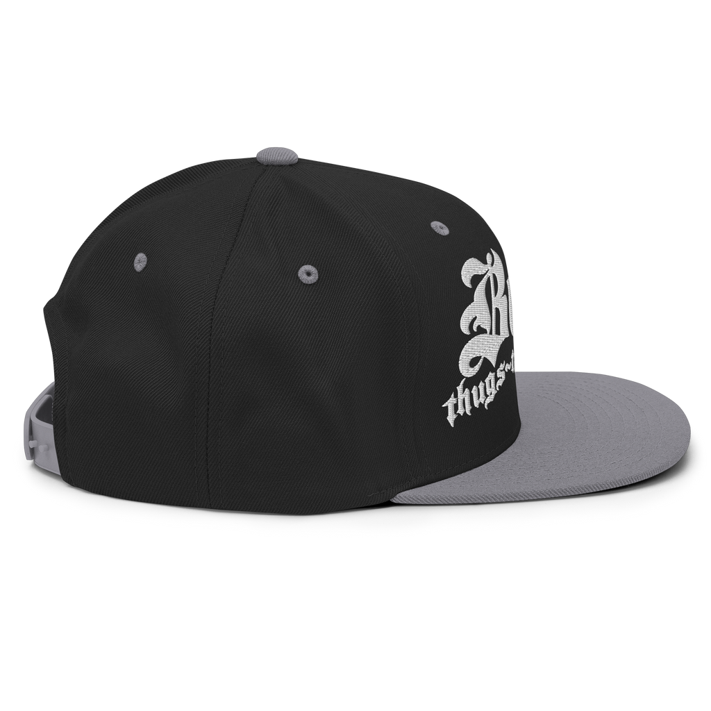 BTNH Snapback - Black / Silver