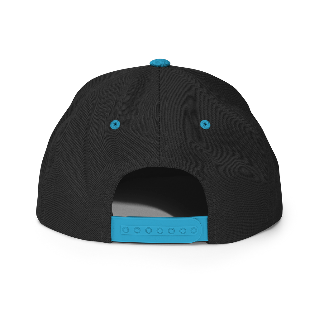 BTNH Snapback - Black / Teal