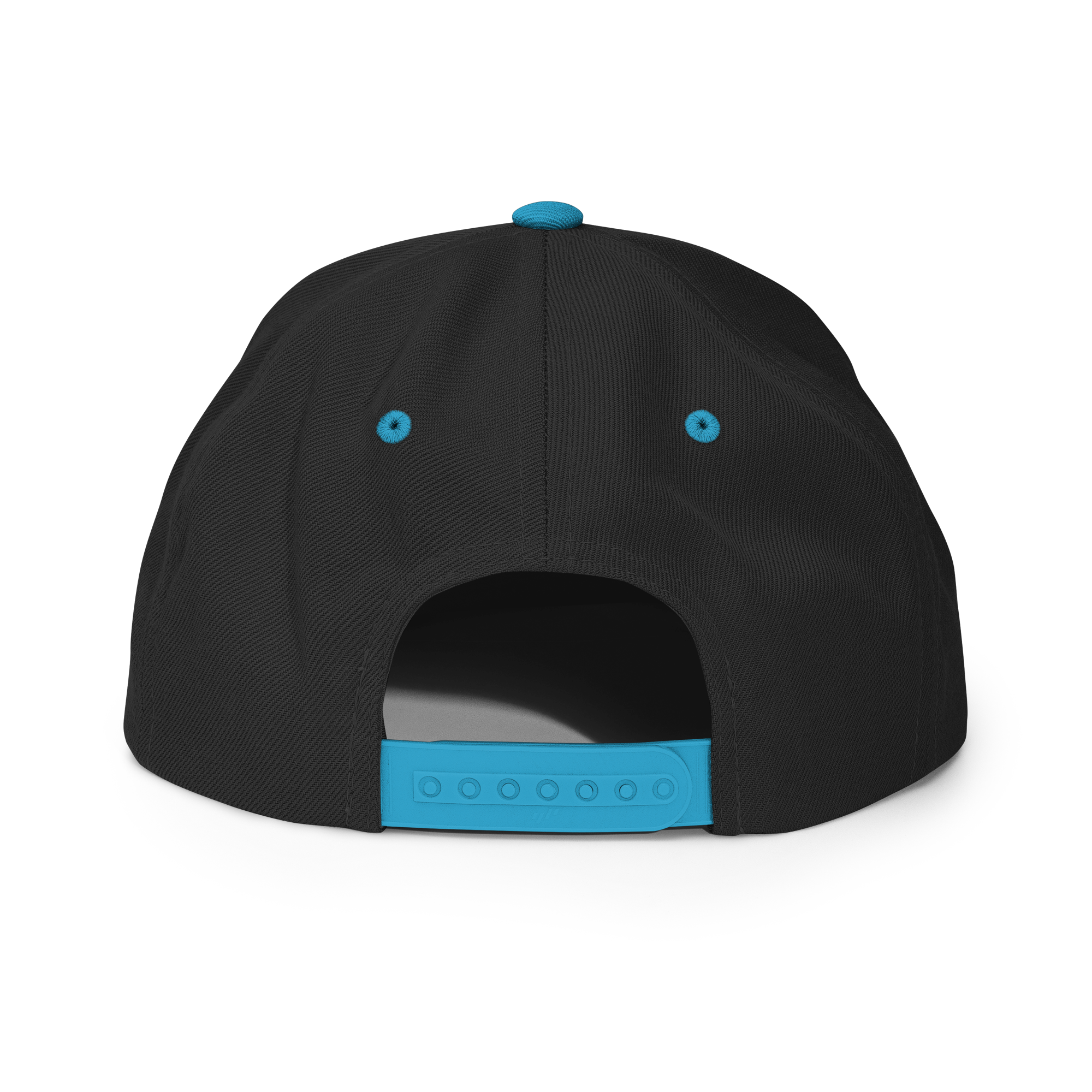 BTNH Snapback - Black / Teal
