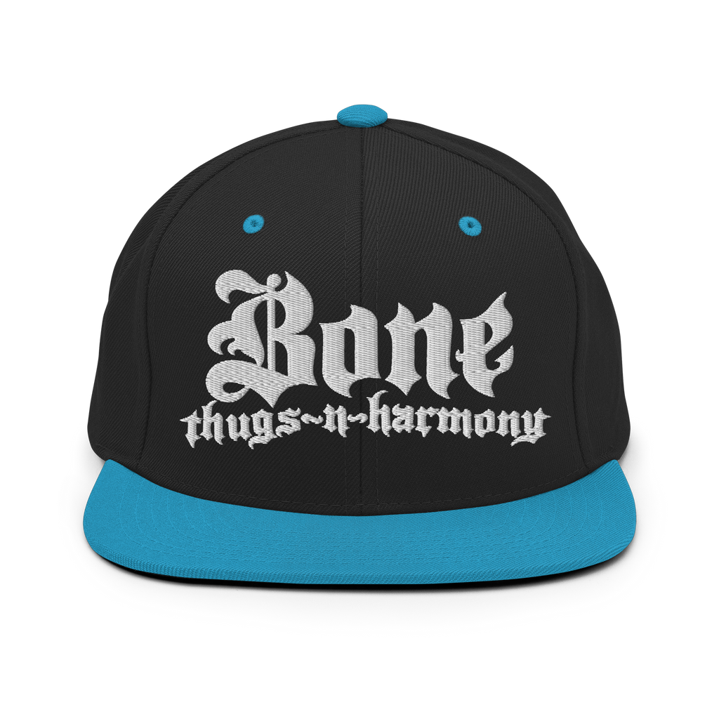 BTNH Snapback - Black / Teal