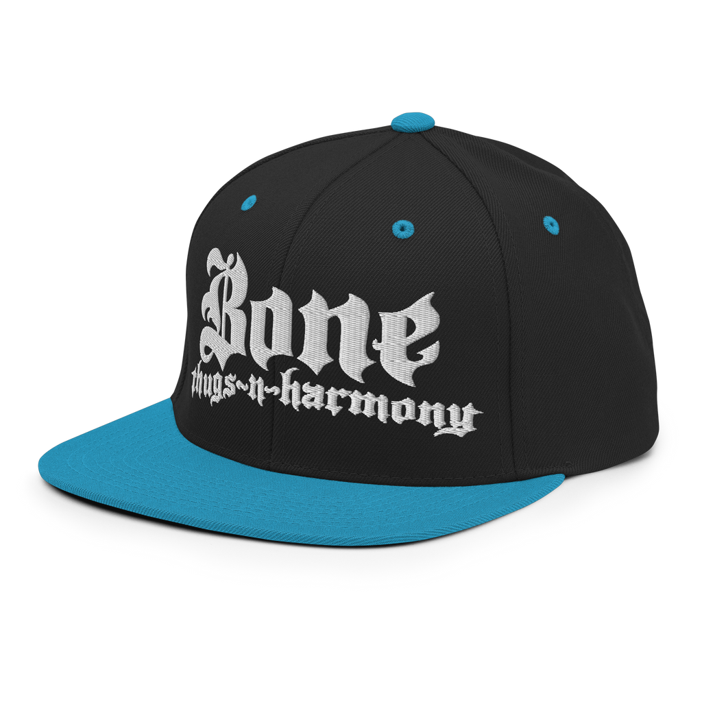 BTNH Snapback - Black / Teal