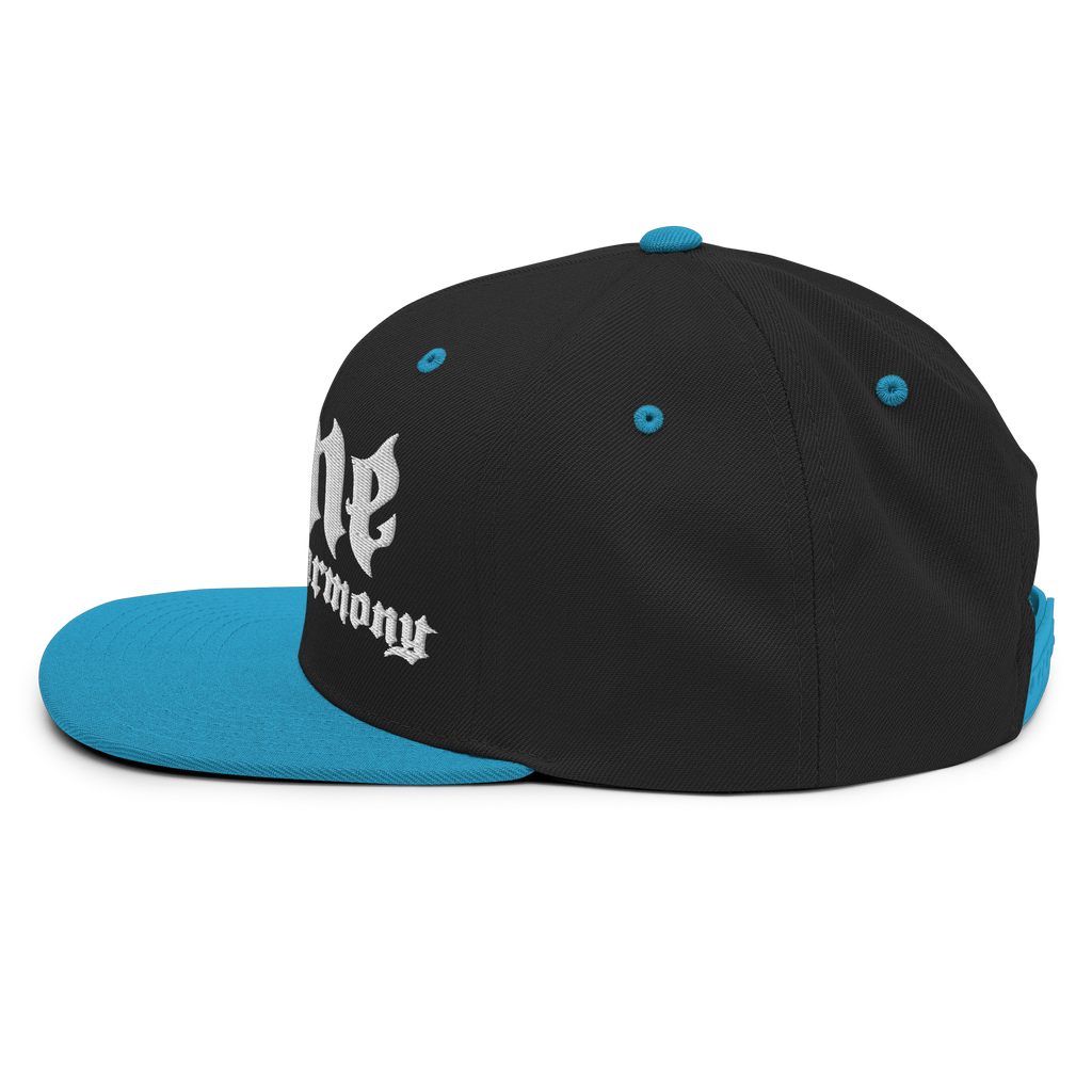 BTNH Snapback - Black / Teal