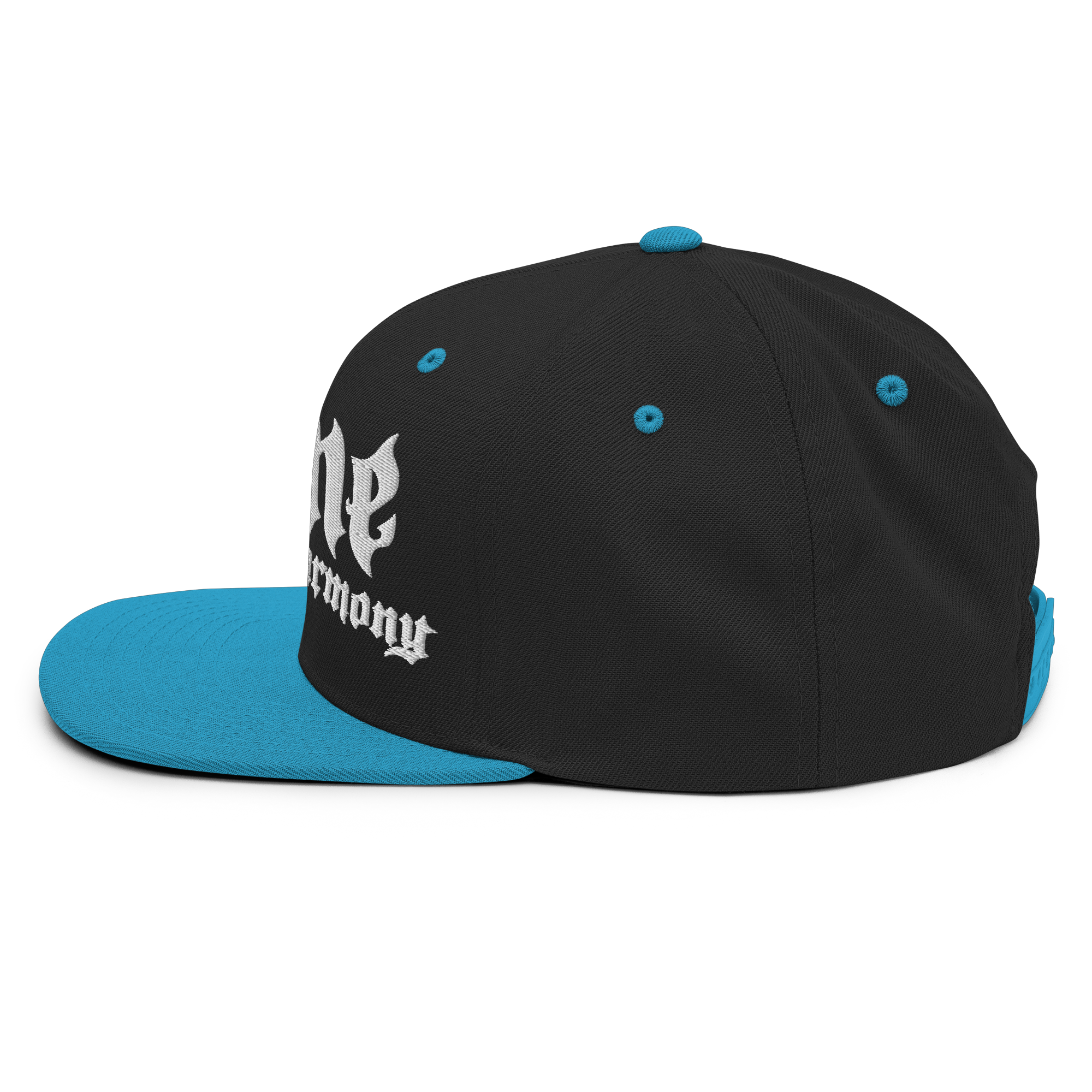 BTNH Snapback - Black / Teal