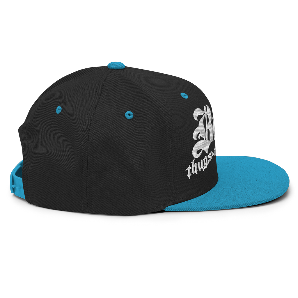 BTNH Snapback - Black / Teal