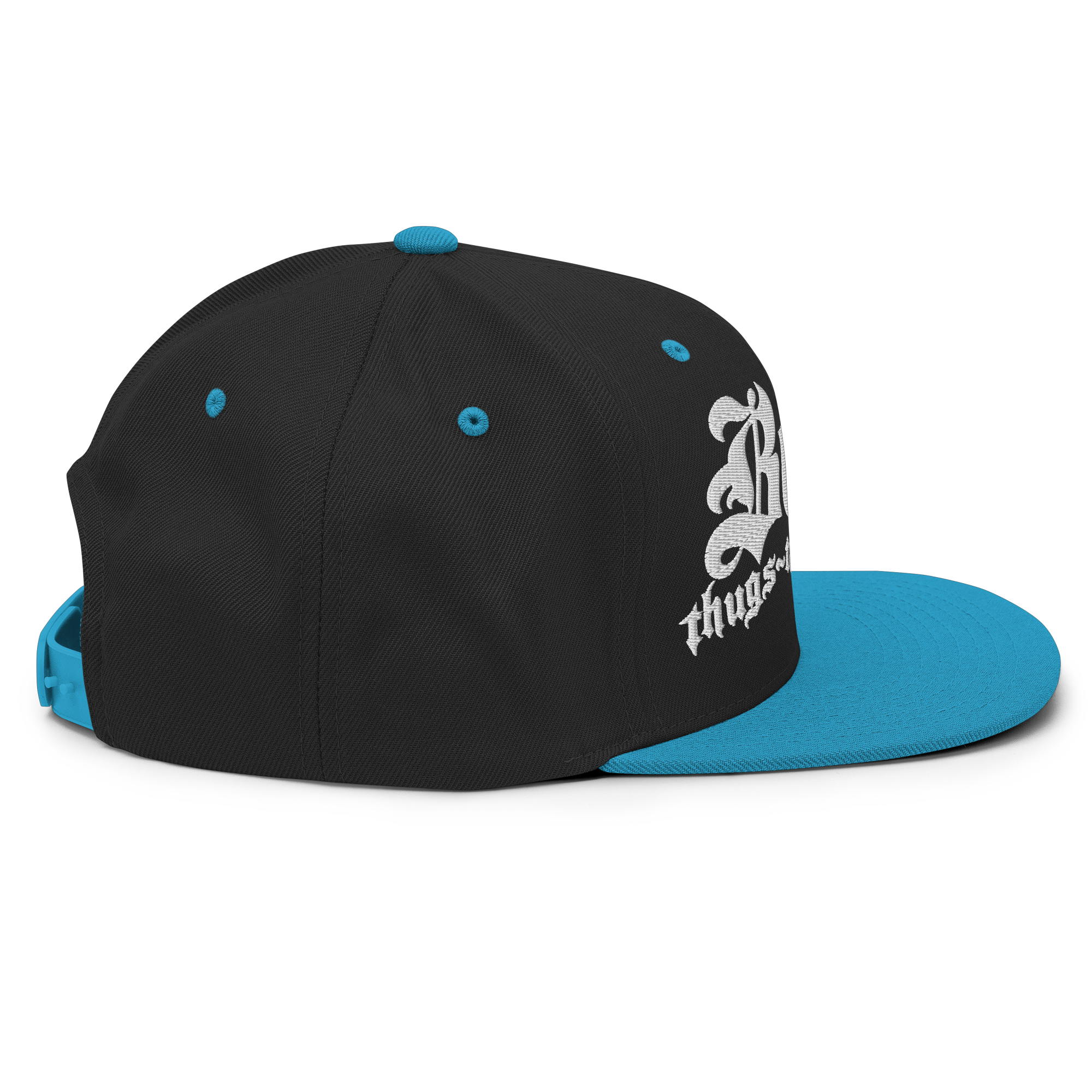 BTNH Snapback - Black / Teal