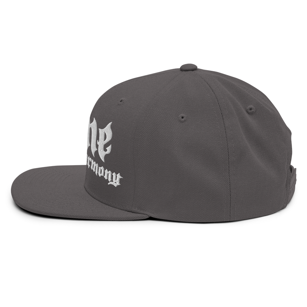BTNH Snapback - Dark Grey
