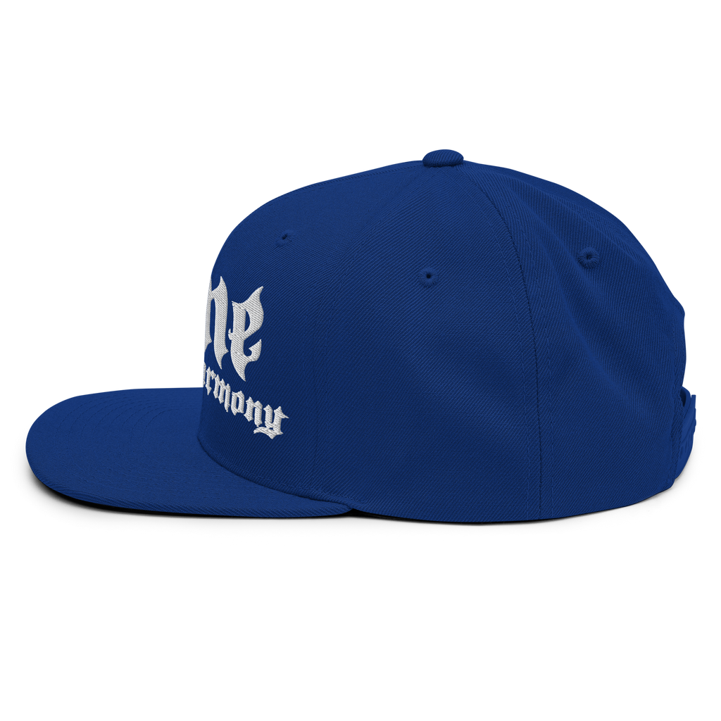 BTNH Snapback - Royal Blue